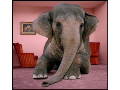 elephant-room1.jpg